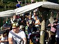 Ausflug 2014   075-SH101398